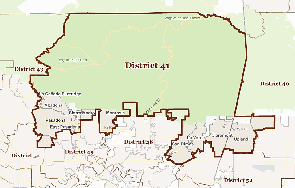 District41_large.jpg